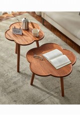 Amos Coffee Table Set of 2 